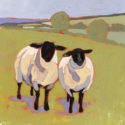 Deux moutons dans un pré