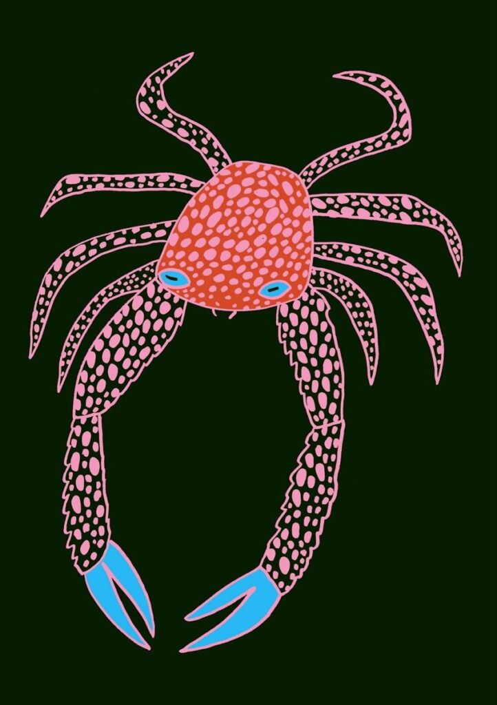 Crabe rose tacheté sur fond noir