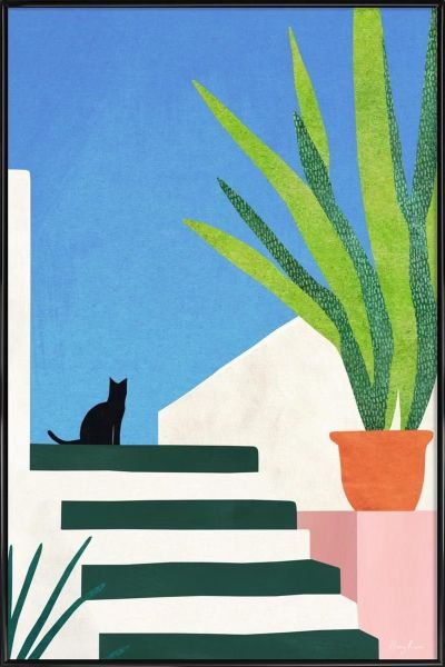 Chat noir sur un escalier au soleil