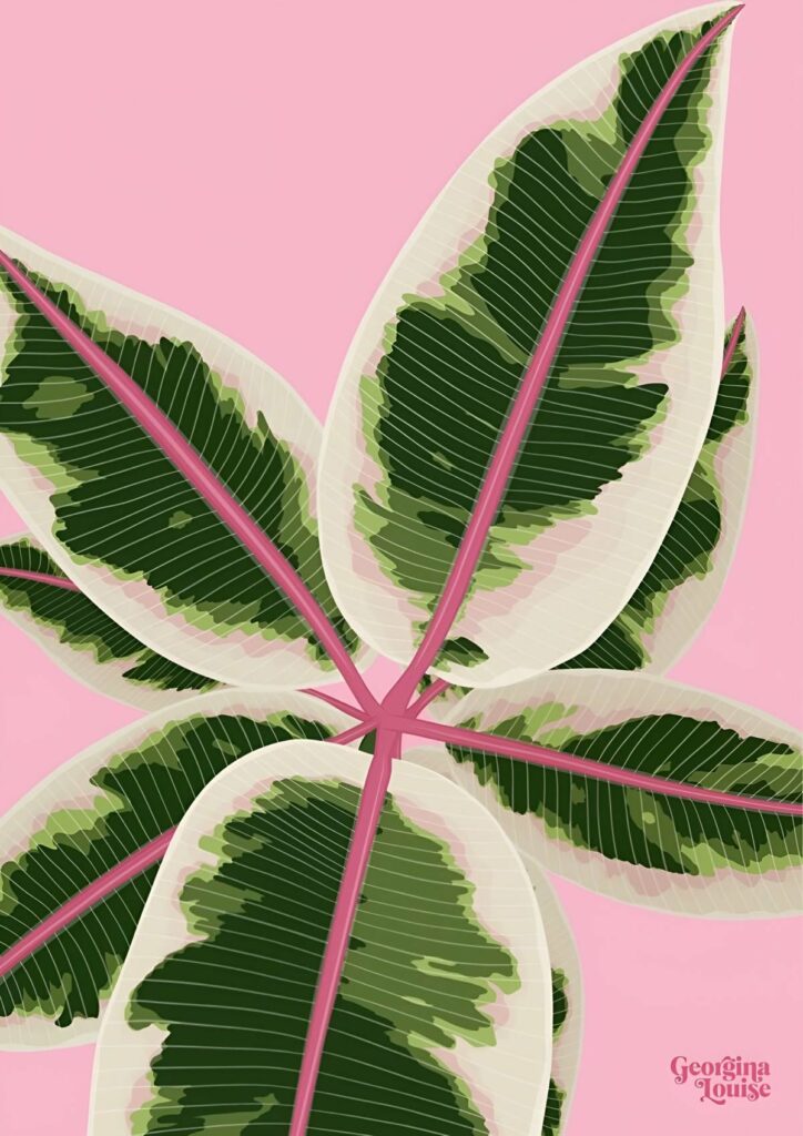 Feuilles de plante panachée sur fond rose