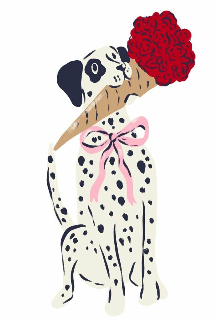 Dalmatien tenant un cornet de roses